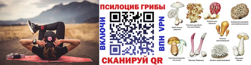 Купить  Гуково  Псилоцибиновые грибы MAGIC MUSHROOMS 